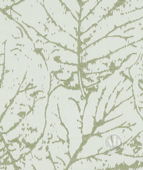 3.ROMAN_RMN1691_LISMORE_FERN