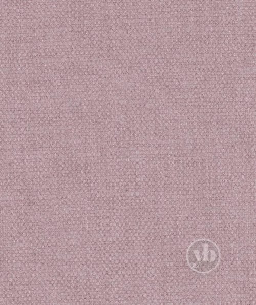 3.ROMAN_RMN4055_LIMA_ORCHID