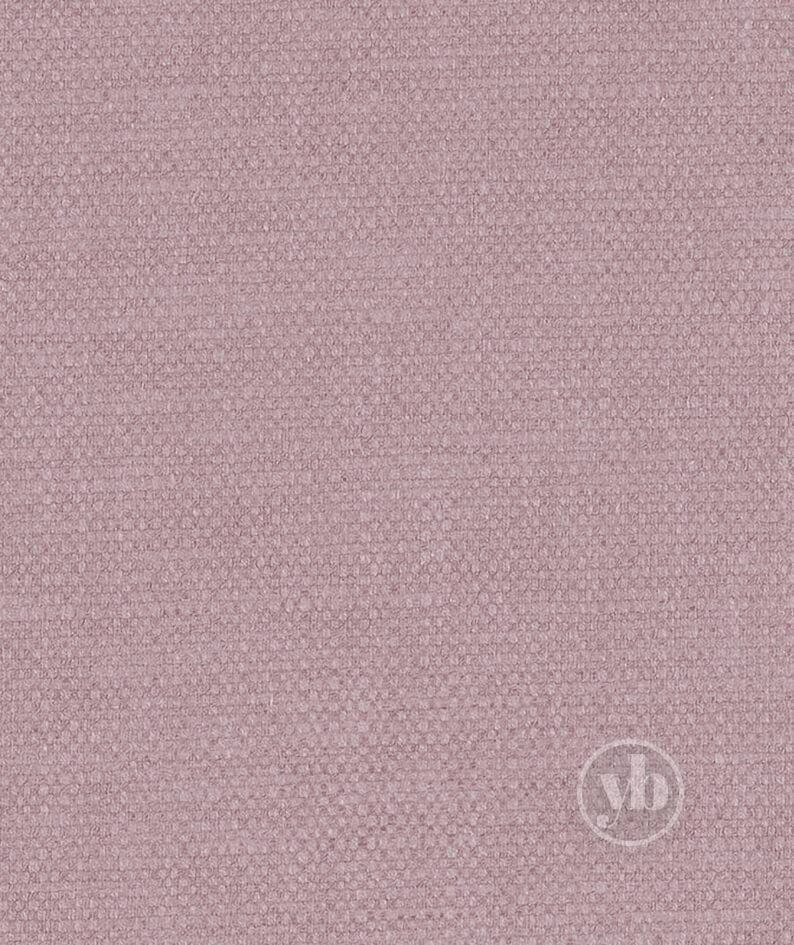 3.ROMAN_RMN4055_LIMA_ORCHID