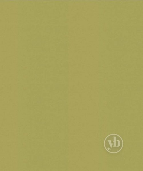 4.Banlight-Duo-FR-Lime_RE0321_1x1m