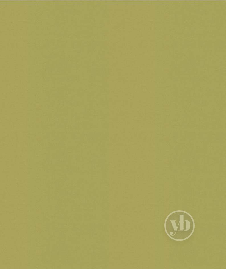 4.Banlight-Duo-FR-Lime_RE0321_1x1m