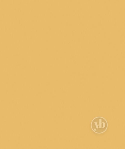 4.Banlight-Duo-FR-Mustard-pattern