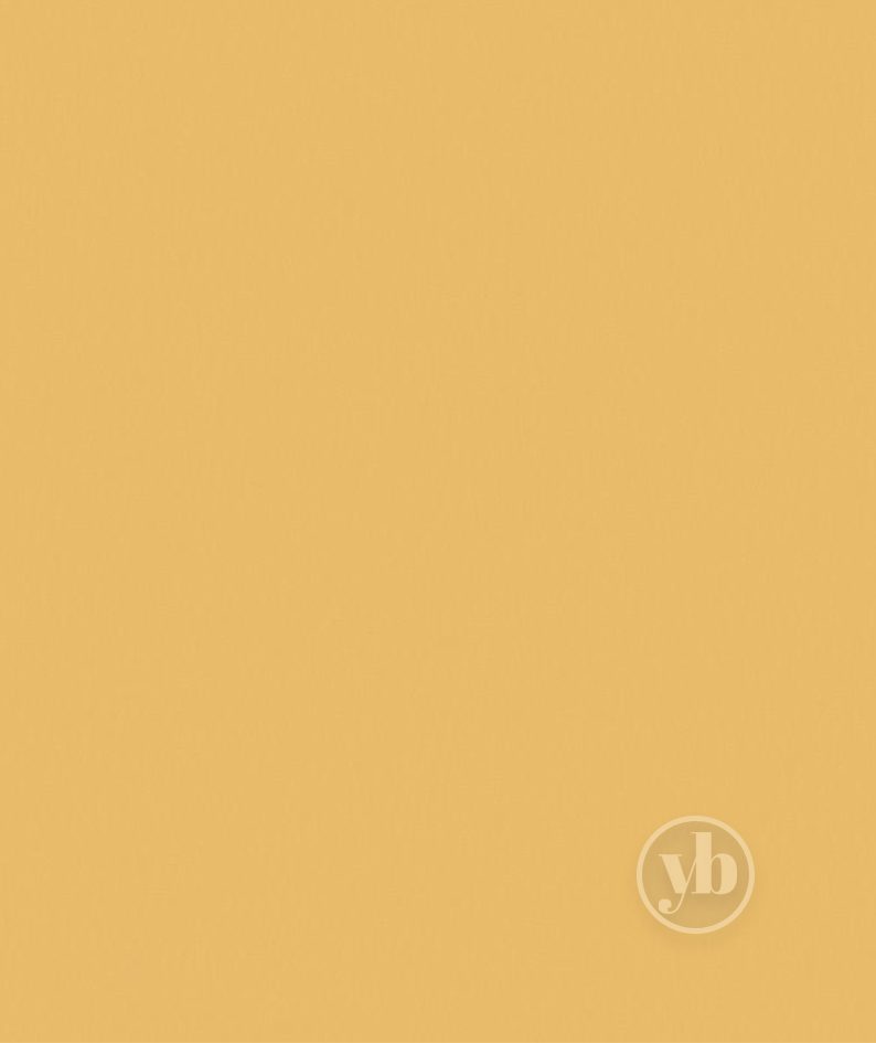 4.Banlight-Duo-FR-Mustard-pattern