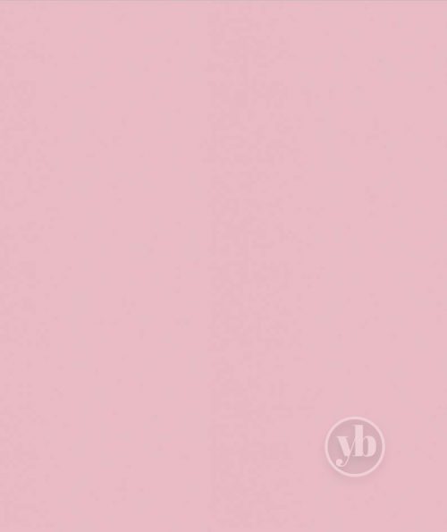 4.Banlight-Duo-FR-Pink_RE0323_1x1m