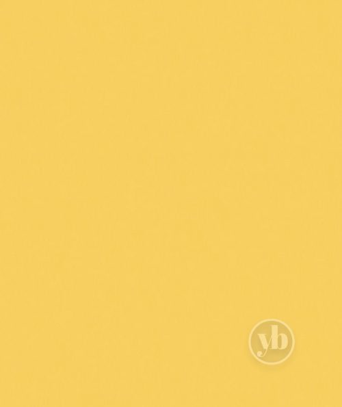 4.Banlight-Duo-FR-Sunshine-small-pattern