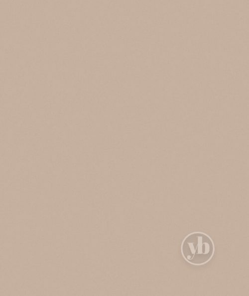 4.Polaris-Blackout-Bisque-pattern