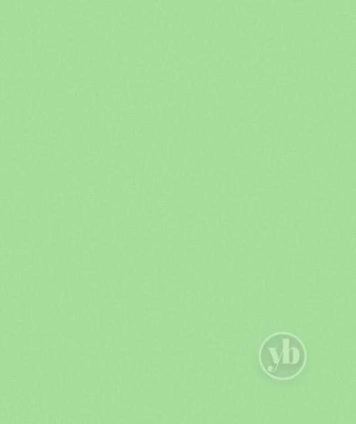 4.Polaris-Cool-Mint-pattern