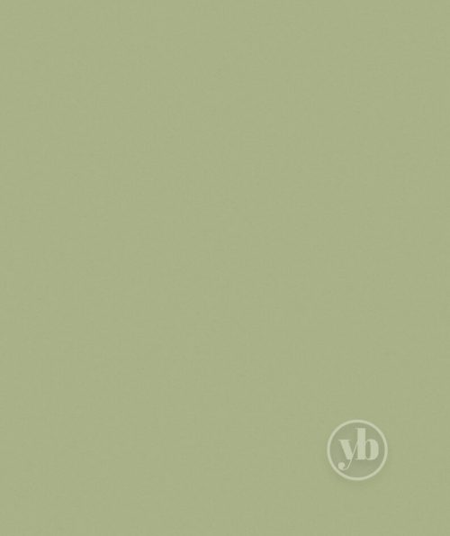 4.Polaris-Green-pattern