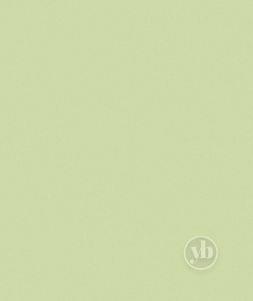 4.Polaris-Pistachio-Green-pattern