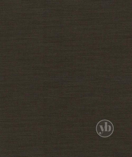 Brown Screen Unknown