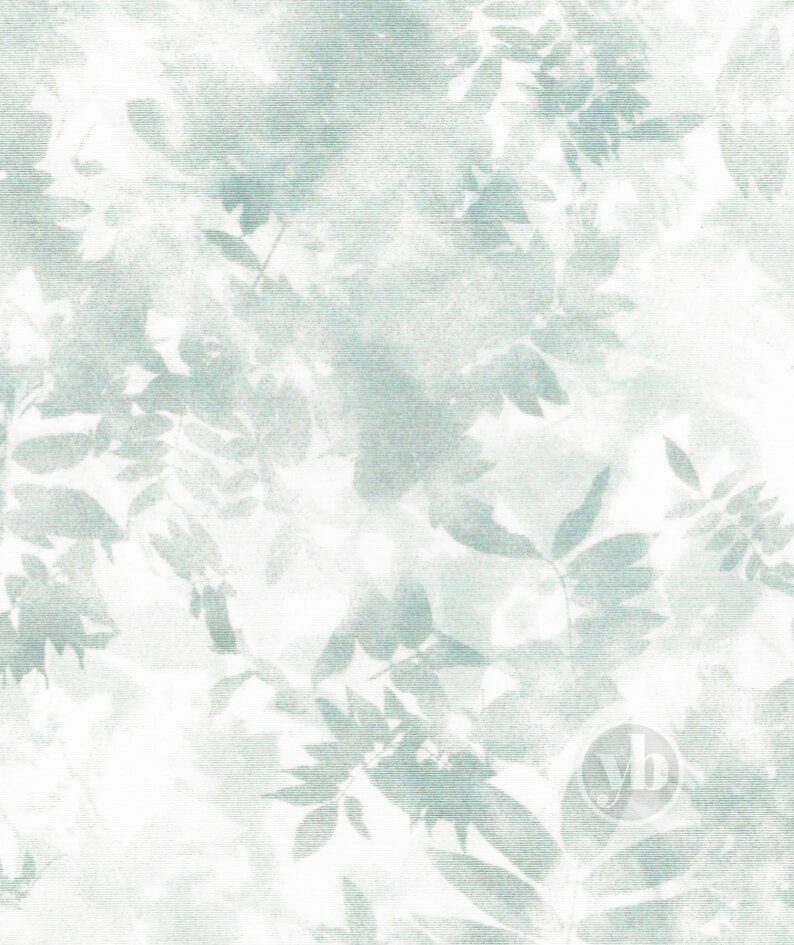 Enchanted Frost