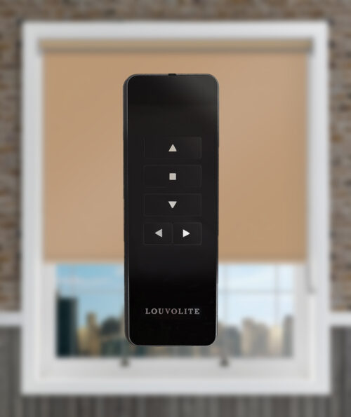 Black remote highlighted