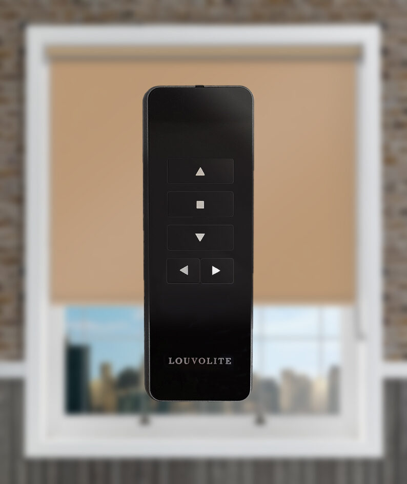 Black remote highlighted
