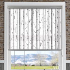 Woodland Silver Birch
