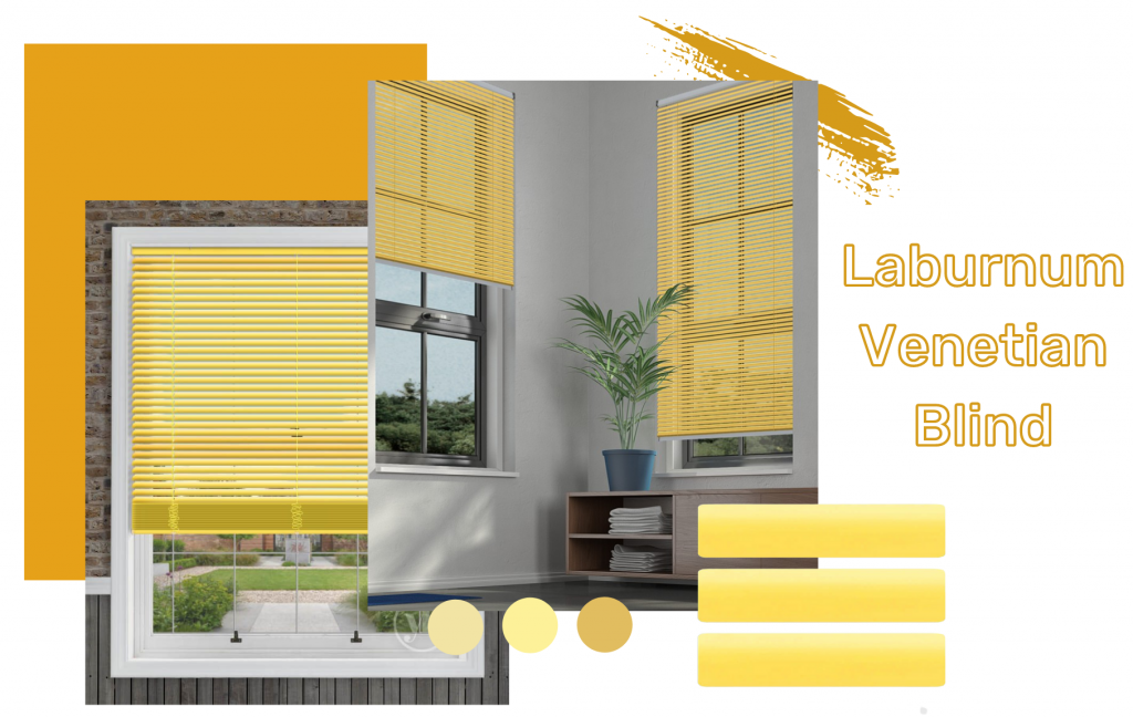 laburnum yellow venetian laburnum yellow venetian